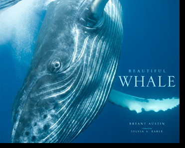 Whale Rider 2002 - IMDb